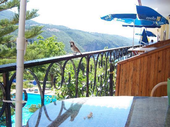 Bella Vista Hotel And Apartments Parga Buitenkant foto